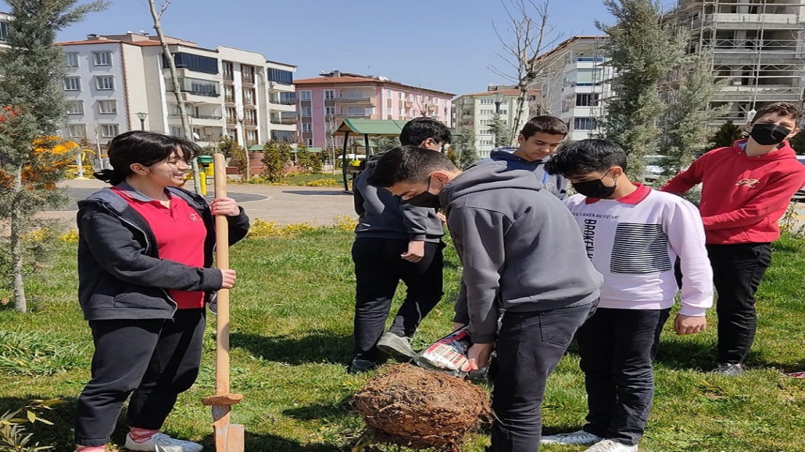 Gazişehir Öğrenci Meclis Kararları Doğrultusunda Okul Bahçemizde Ağaçlandırma ve Güzelleştirme Çalışmaları